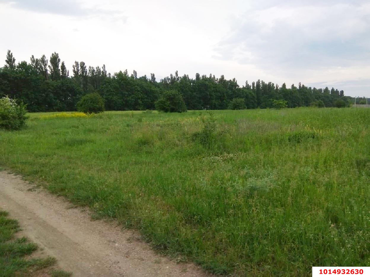 Фото №1: Коммерческая земля 249 сот. - Колос, ул. Будённого, 1