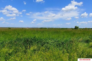 Фото №3: Коммерческая земля 249 сот. - Колос, ул. Будённого, 1