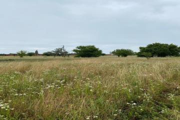 Фото №5: Коммерция 249 м² - Колос, ул. Будённого, 1