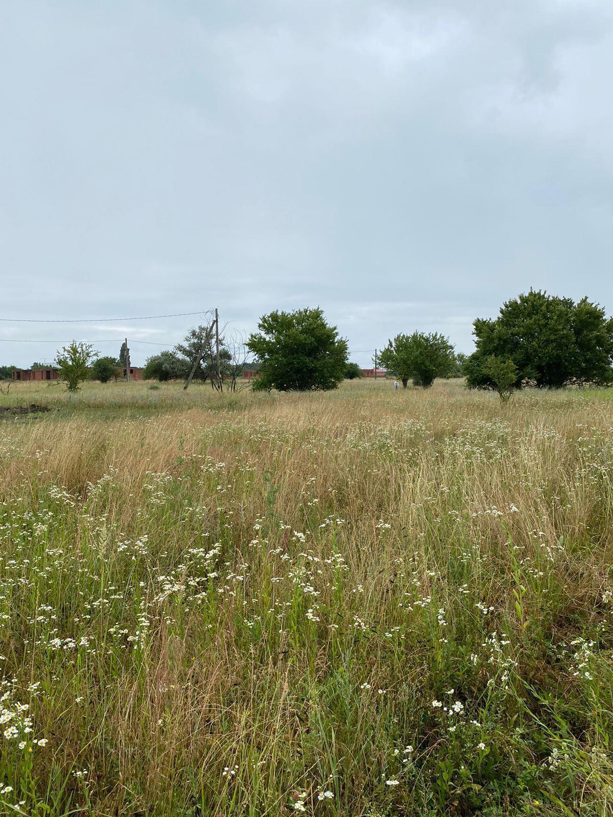 Фото №5: Коммерция 249 м² - Колос, ул. Будённого, 1