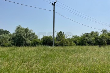 Фото №4: Коммерческая земля 249 сот. - Колос, ул. Будённого, 1