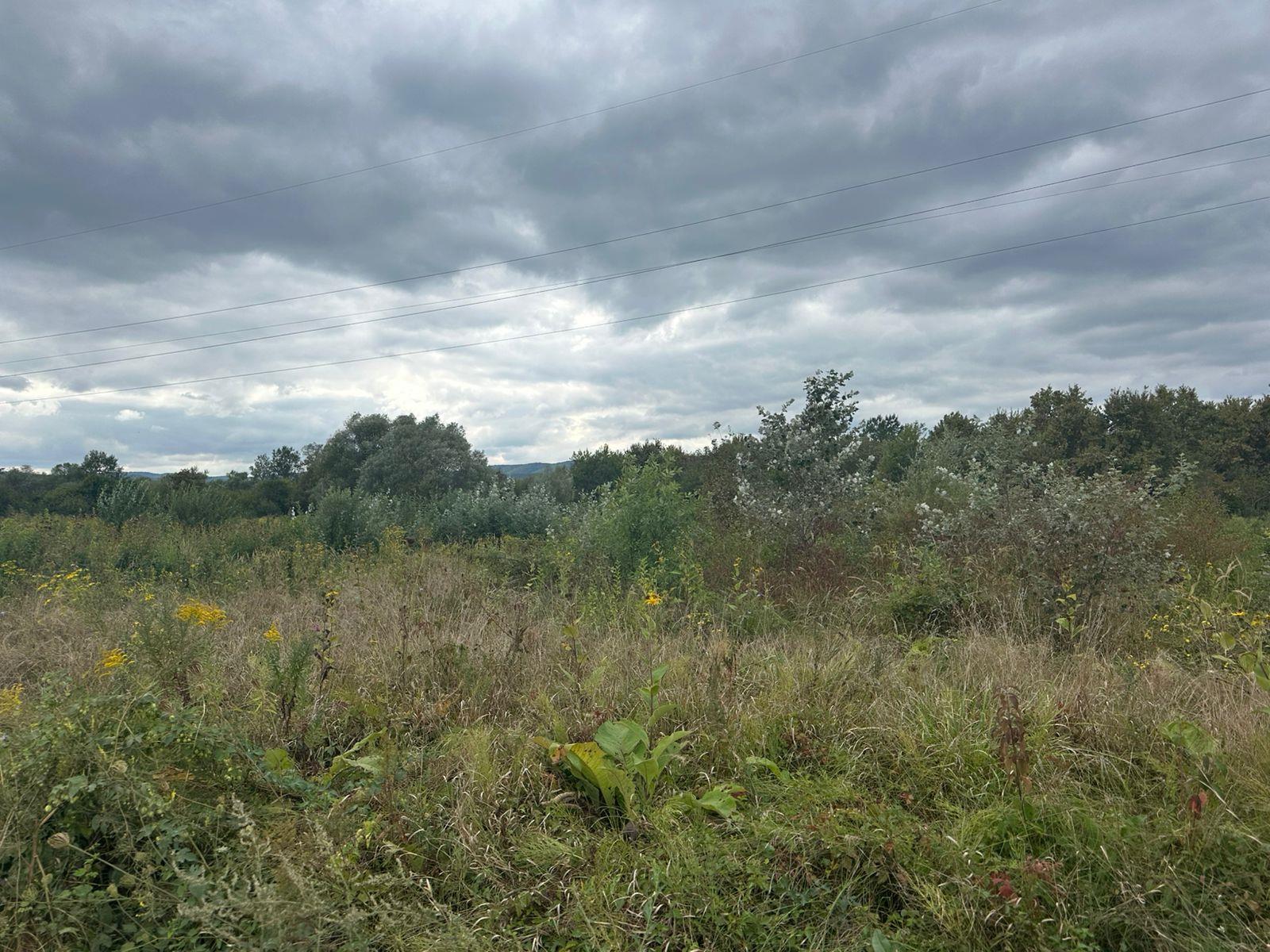 Фото №6: Коммерция 32 м² - Горячий Ключ