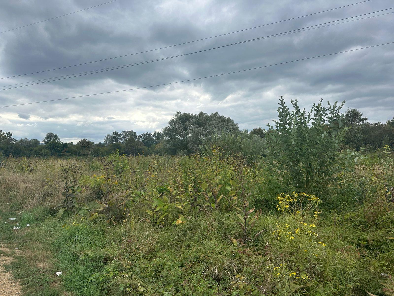 Фото №7: Коммерция 32 м² - Горячий Ключ