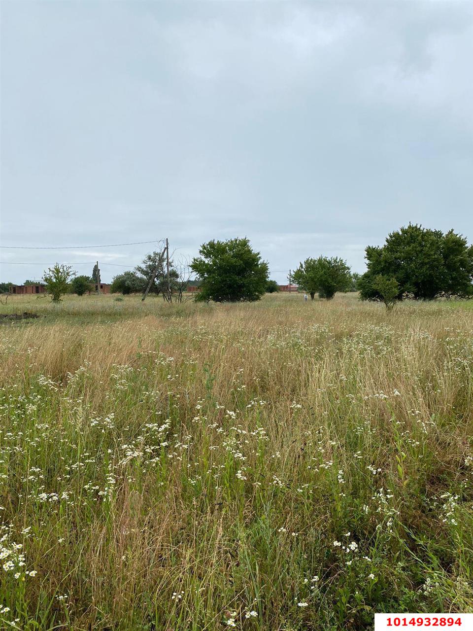 Фото №5: Коммерческая земля 249 сот. - Колос, ул. Будённого, 2