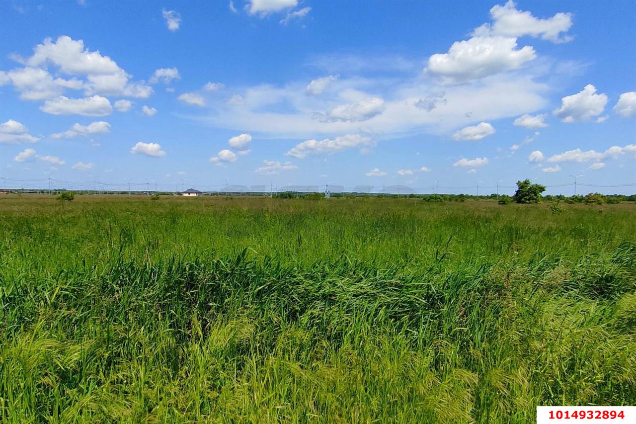 Фото №3: Коммерческая земля 249 сот. - Колос, ул. Будённого, 2