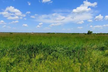 Фото №3: Коммерция 249 м² - Колос, ул. Будённого, 2