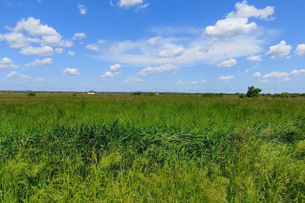 Фото №3: Коммерция 249 м² - Колос, ул. Будённого, 2