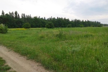 Фото №1: Коммерческая земля 249 сот. - Колос, ул. Будённого, 2