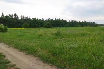 Фото №1: Коммерция 249 м² - Колос, ул. Будённого, 2