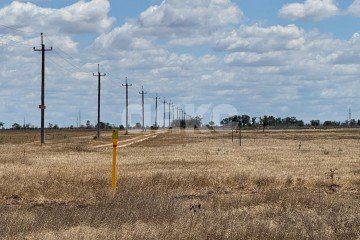 Фото №5: Земельный участок под ИЖС - Николаевка, ул. Цветочная, 30