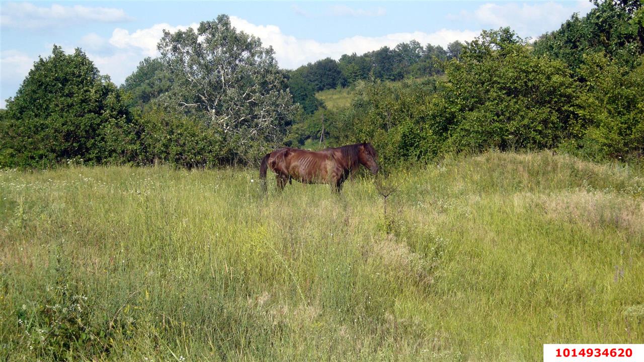 Фото №5: Участок садоводство 6 сот. - Старокорсунская, ДНТ Прибрежный, ул. 7-я Викторианская, 9