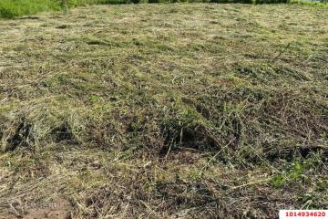 Фото №4: Земельный участок 6 сот. - Старокорсунская, мкр. ДНТ Прибрежный, ул. 7-я Викторианская, 9