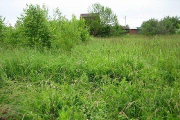 Фото №4: Земельный участок 6 сот. - Старокорсунская, мкр. ДНТ Прибрежный, ул. 7-я Викторианская, 9