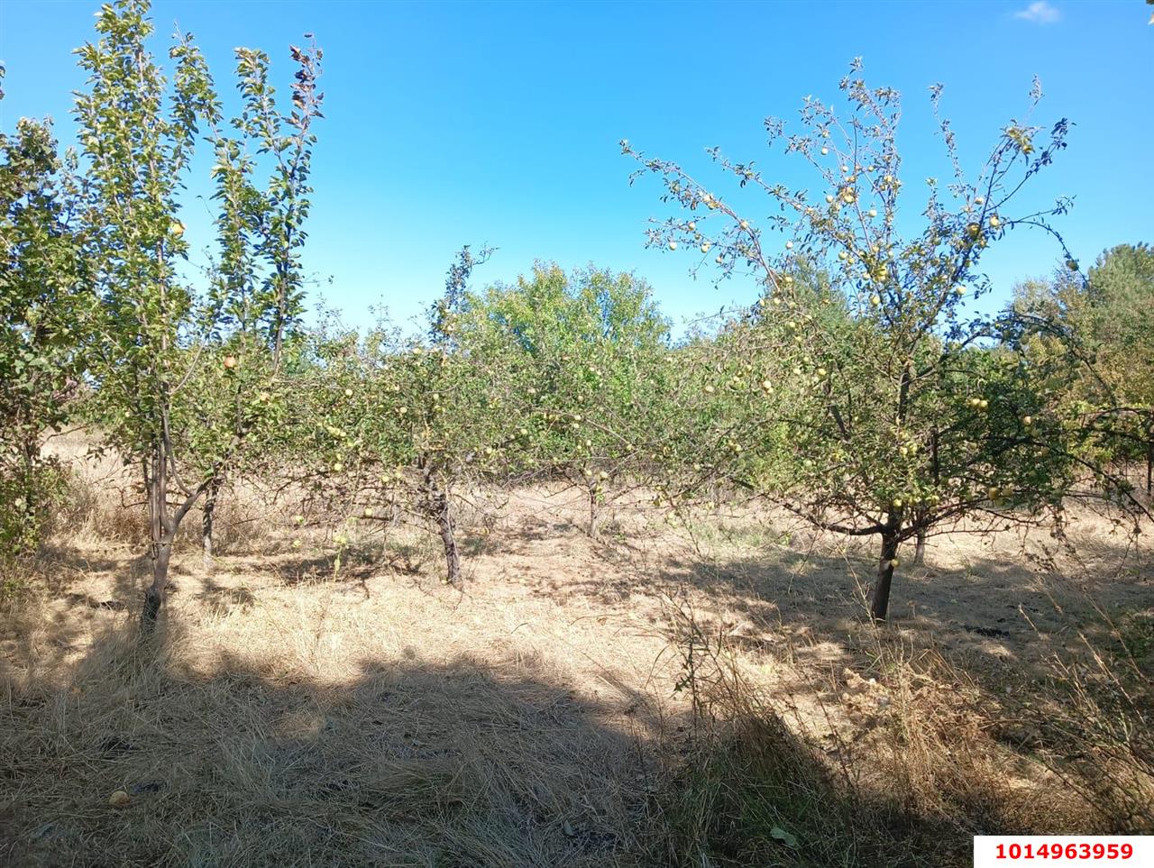 Фото №15: Дом 21 м² + 36.6 сот. - Октябрьский, Прикубанский внутригородской округ, ул. Подсолнечная, 109