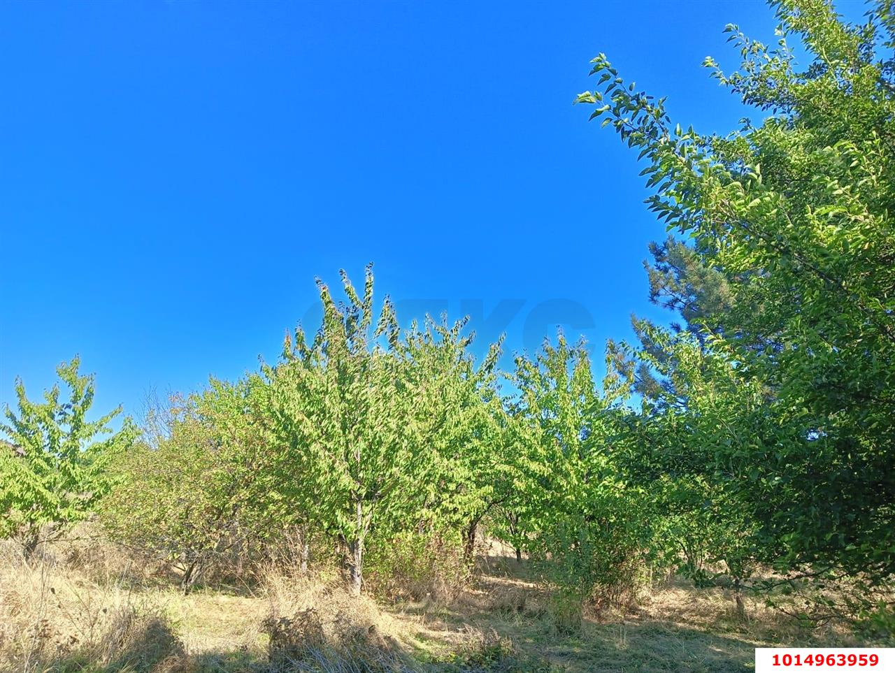 Фото №17: Дом 21 м² + 36.6 сот. - Октябрьский, мкр. Прикубанский внутригородской округ, ул. Подсолнечная, 109