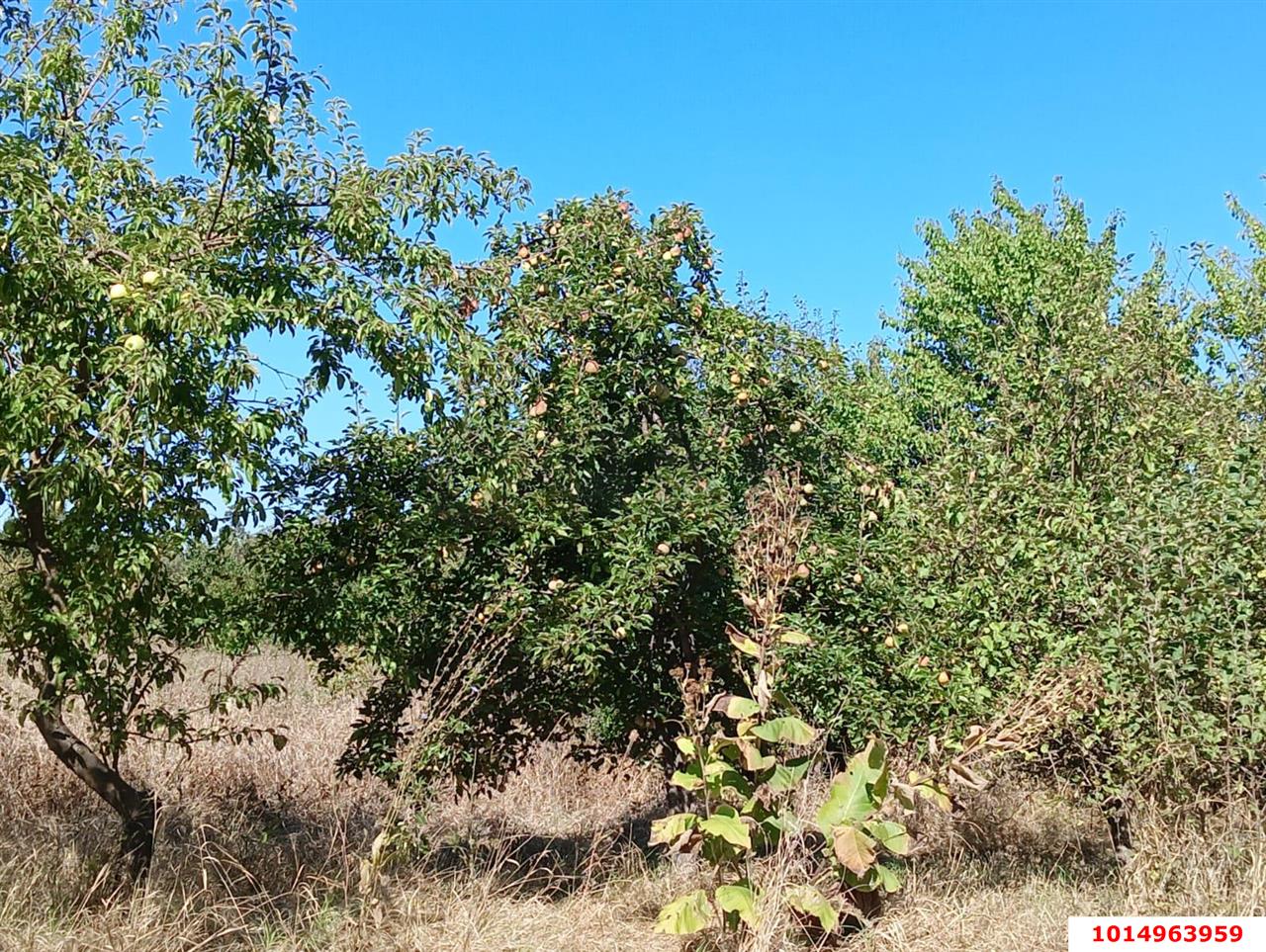 Фото №13: Дом 21 м² + 36.6 сот. - Октябрьский, мкр. Прикубанский внутригородской округ, ул. Подсолнечная, 109