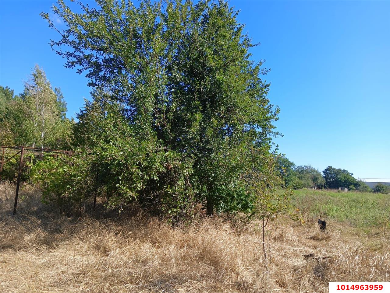 Фото №16: Дом 21 м² + 36.6 сот. - Октябрьский, мкр. Прикубанский внутригородской округ, ул. Подсолнечная, 109