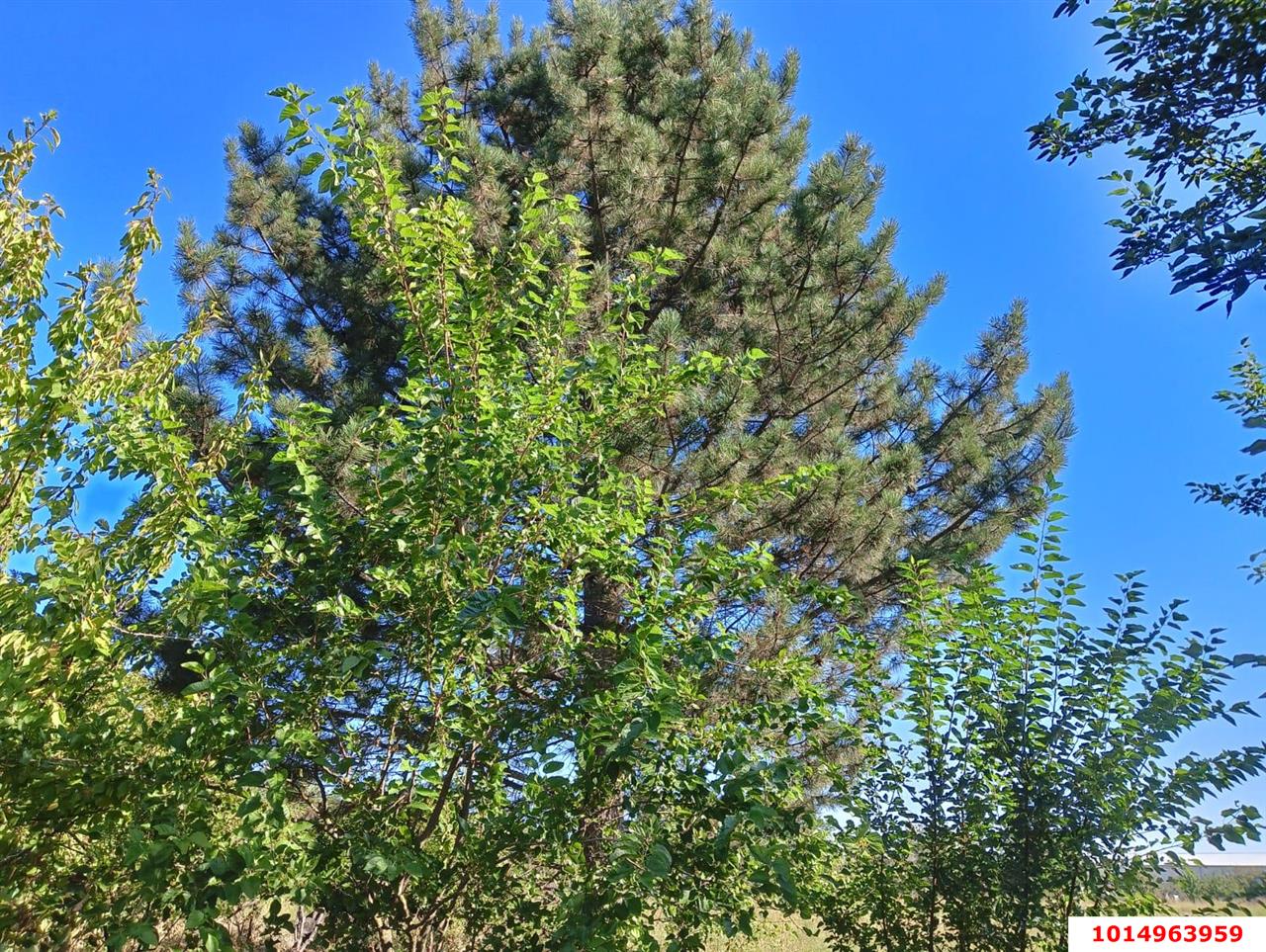 Фото №14: Дом 21 м² + 36.6 сот. - Октябрьский, Прикубанский внутригородской округ, ул. Подсолнечная, 109