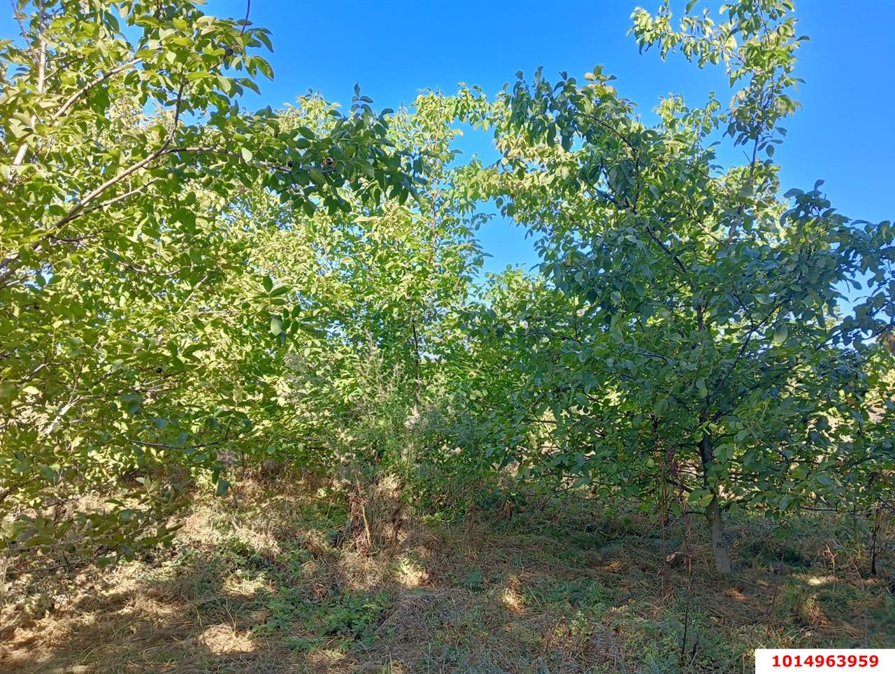 Фото №18: Дом 21 м² + 36.6 сот. - Октябрьский, мкр. Прикубанский внутригородской округ, ул. Подсолнечная, 109