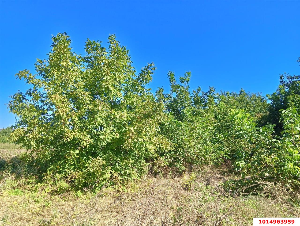 Фото №19: Дом 21 м² + 36.6 сот. - Октябрьский, Прикубанский внутригородской округ, ул. Подсолнечная, 109