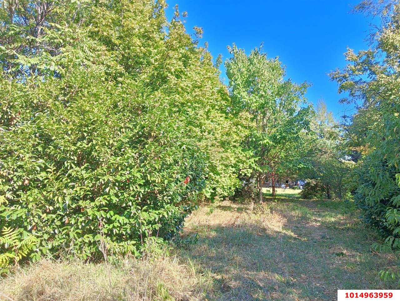 Фото №8: Дом 21 м² + 36.6 сот. - Октябрьский, Прикубанский внутригородской округ, ул. Подсолнечная, 109