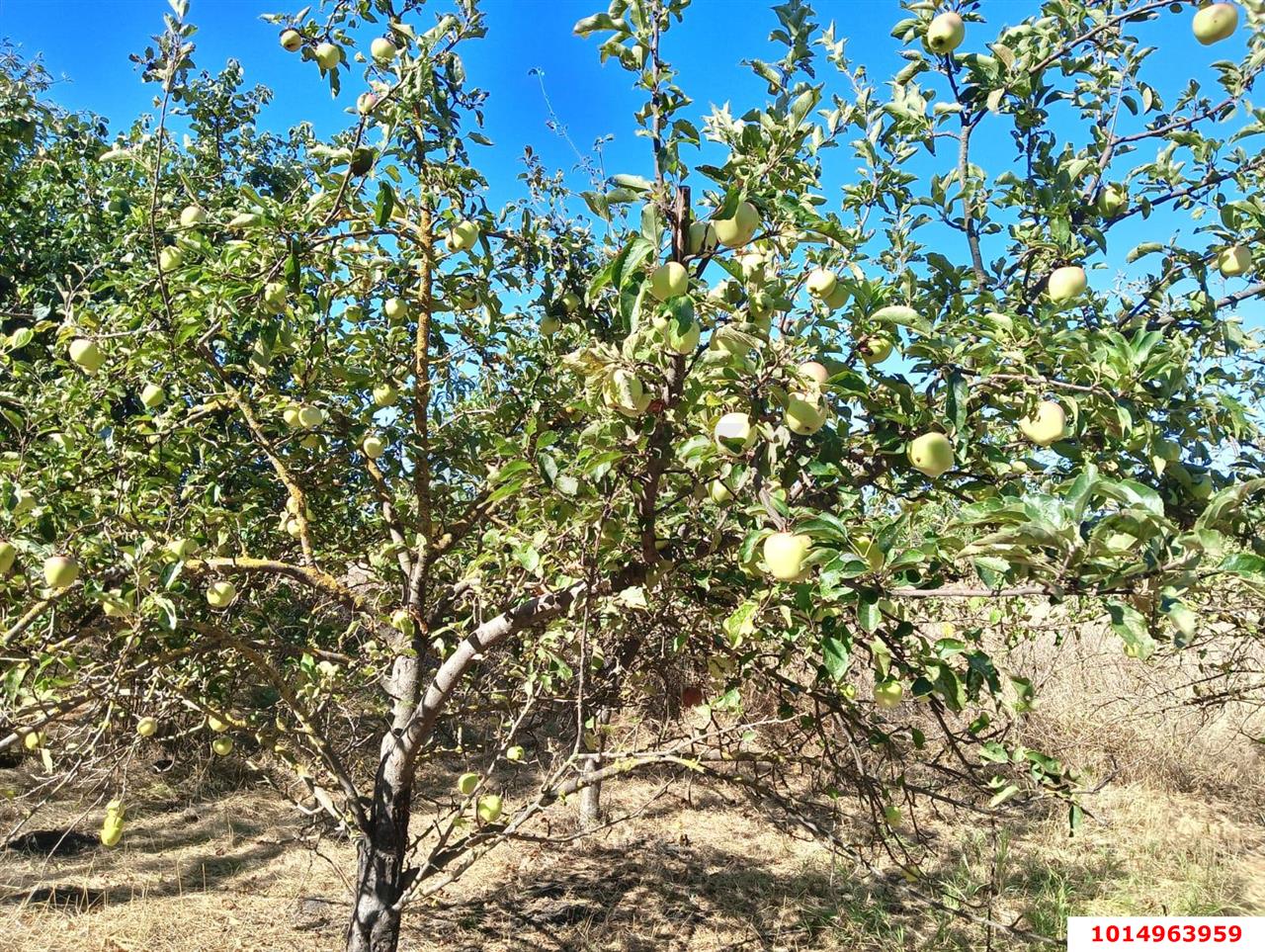 Фото №9: Дом 21 м² + 36.6 сот. - Октябрьский, Прикубанский внутригородской округ, ул. Подсолнечная, 109