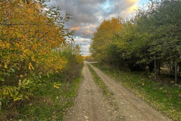 Фото №1: Земельный участок под ИЖС 48.9 сот. - Красное, ул. Гагарина, 25