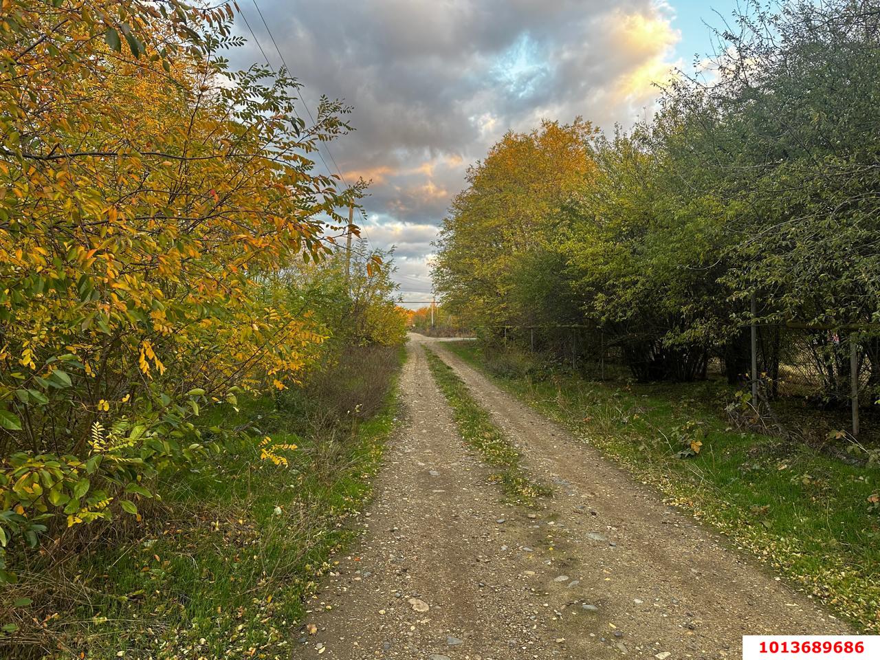 Фото №1: Земельный участок под ИЖС 48.9 сот. - Красное, ул. Гагарина, 25