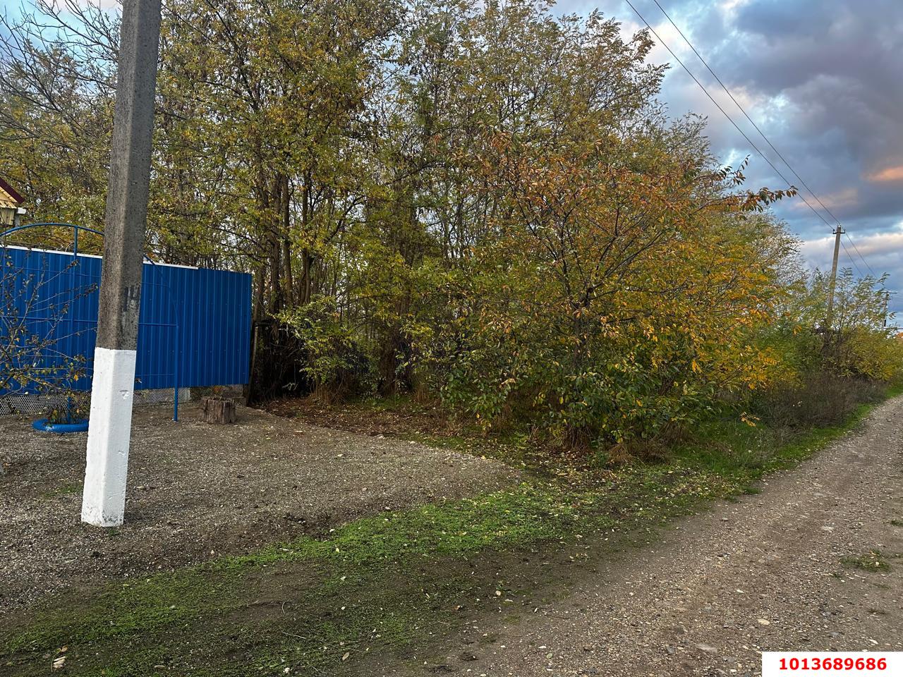 Фото №7: Земельный участок под ИЖС 48.9 сот. - Красное, ул. Гагарина, 25