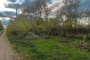 Фото №3: Земельный участок под ИЖС 48.9 сот. - Красное, ул. Гагарина, 25