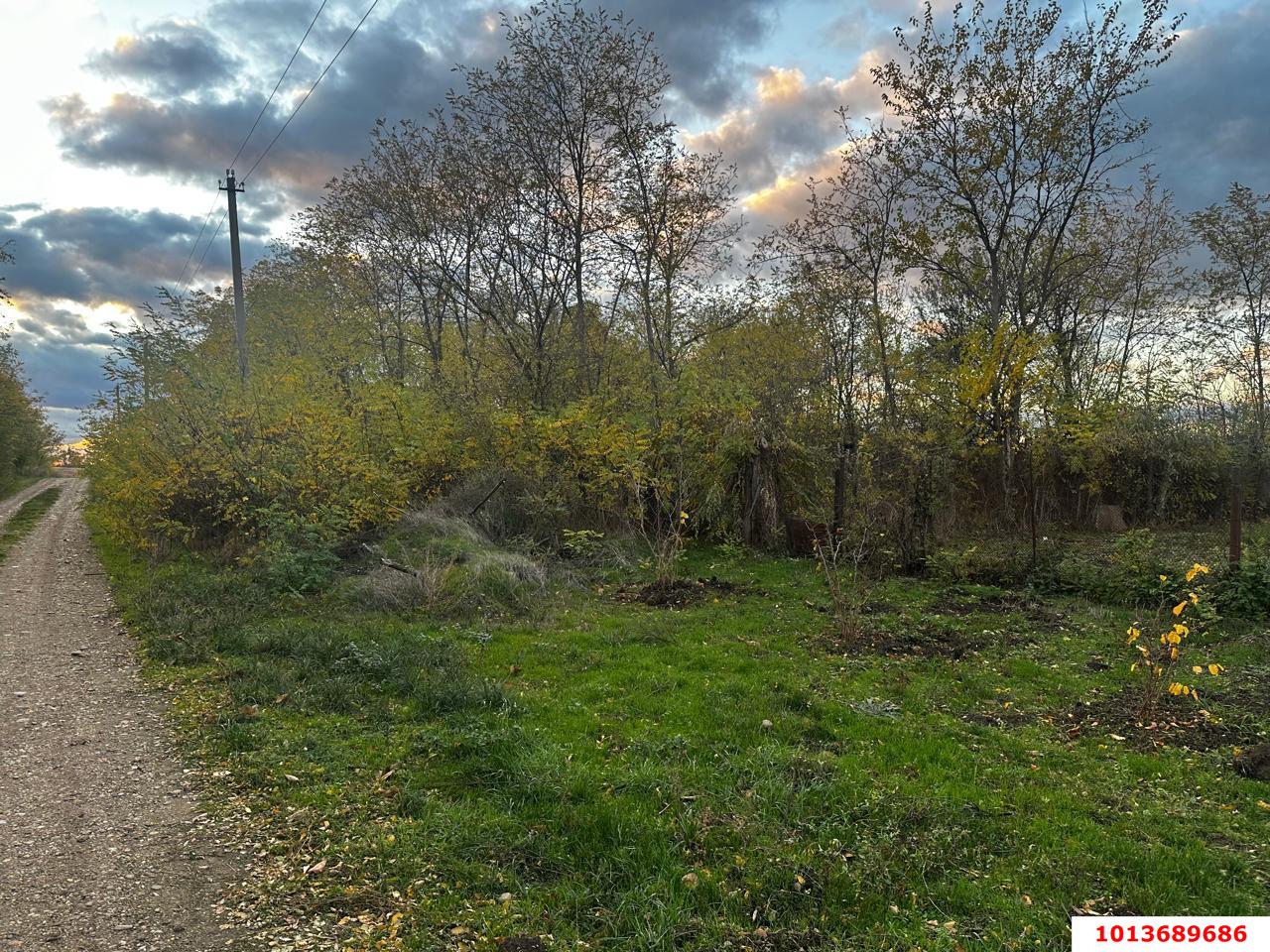 Фото №3: Земельный участок под ИЖС 48.9 сот. - Красное, ул. Гагарина, 25