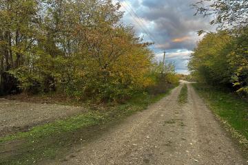 Фото №2: Земельный участок 48.9 сот. - Красное, ул. Гагарина, 25