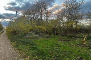 Фото №3: Земельный участок 48.9 сот. - Красное, ул. Гагарина, 25