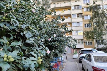 Фото №4: 2-комнатная квартира 60 м² - Краснодар, мкр. Московский, ул. Карякина, 15