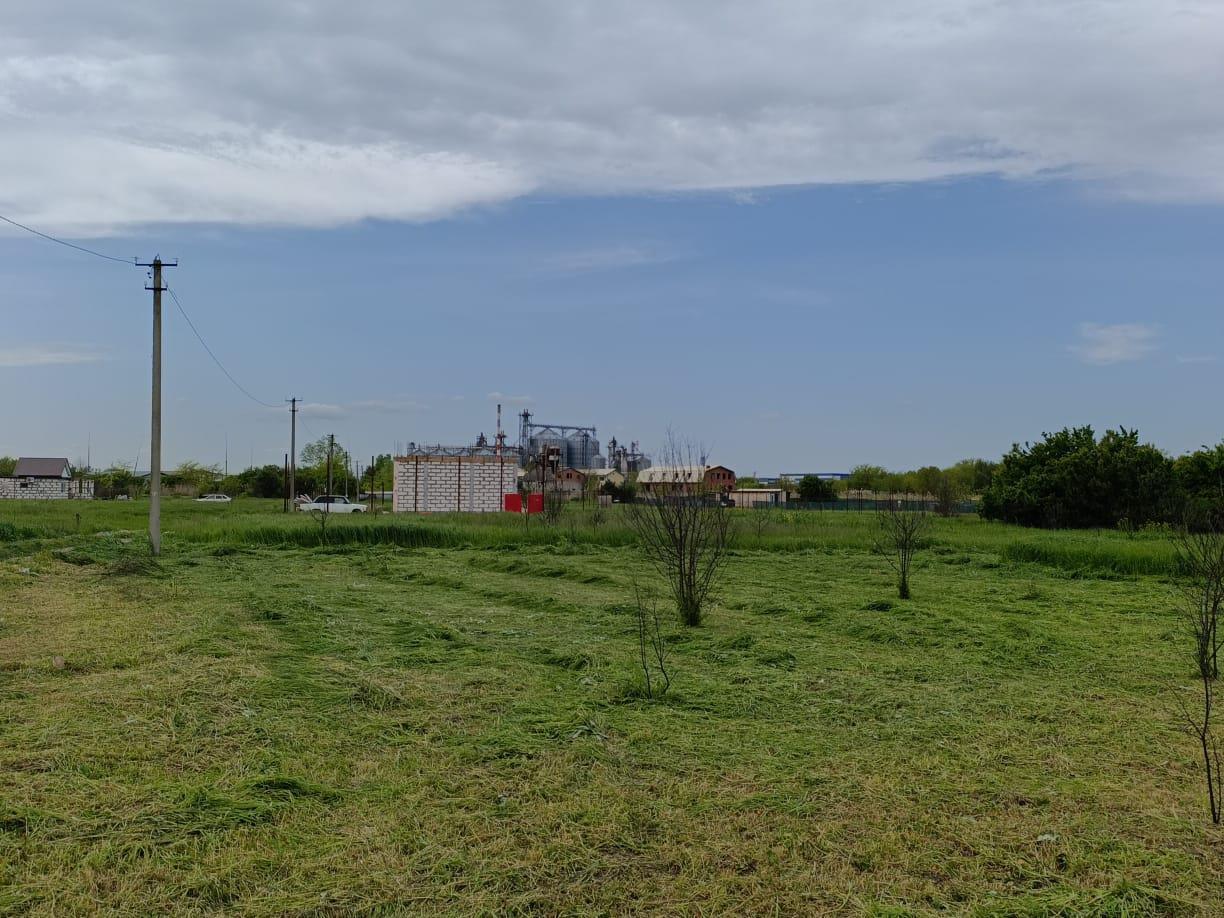 Фото №1: Земельный участок 8 сот. - садовое некоммерческое товарищество Авиатор, мкр. Прикубанский внутригородской округ, ул. Берёзовая, 186