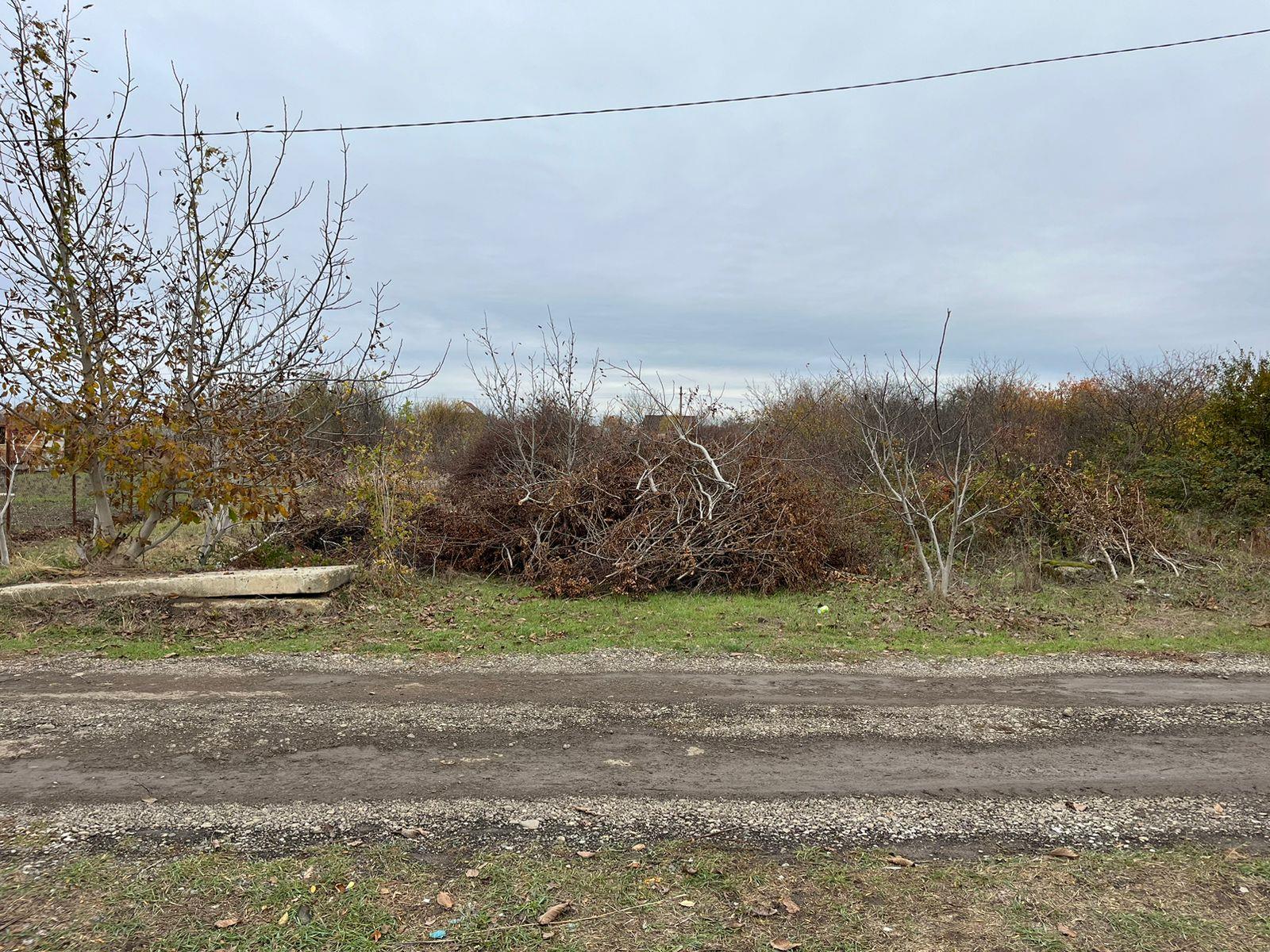 Фото №2: Земельный участок 8 сот. - садовое некоммерческое товарищество Авиатор, мкр. Прикубанский внутригородской округ, ул. Берёзовая, 186