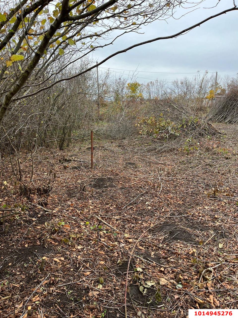 Фото №2: Участок садоводство 8 сот. - садовое некоммерческое товарищество Факел, Прикубанский внутригородской округ, ул. Марьянская, 57