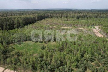 Фото №5: Участок садоводство - Слободка, 