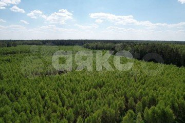 Фото №5: Участок садоводство - Слободка, 
