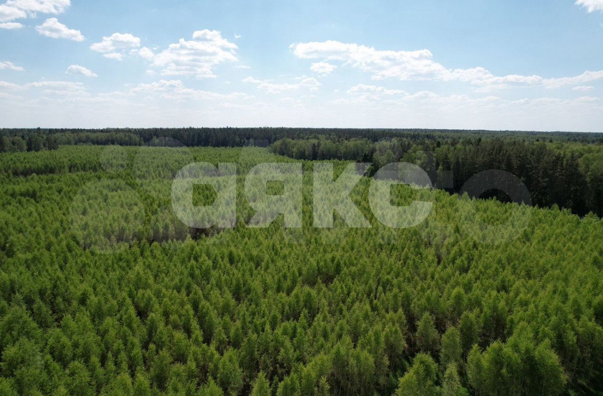 Фото №5: Участок садоводство 14.4 сот. - Слободка