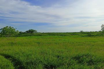 Фото №1: Земельный участок 4.34 сот. - СНТ Урожайное, мкр. Прикубанский внутригородской округ, ул. Земляничная, 19