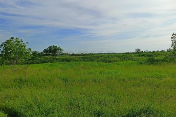 Фото №1: Участок садоводство 4.9 сот. - СНТ Урожайное, мкр. Прикубанский внутригородской округ, ул. Земляничная, 19