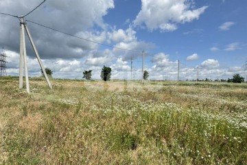 Фото №3: Земельный участок под ИЖС - Центральной усадьбы совхоза Восток, ул. Лесная, 78