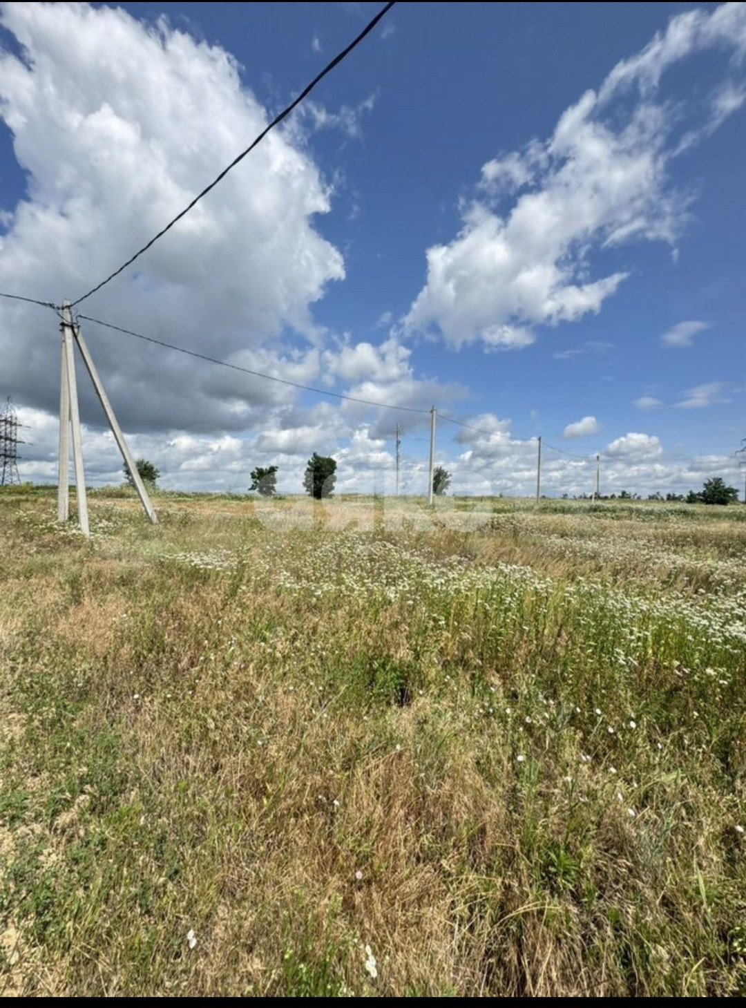 Фото №3: Земельный участок под ИЖС 6 сот. - Центральной усадьбы совхоза Восток, ул. Лесная, 78