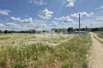 Фото №2: Земельный участок под ИЖС - Центральной усадьбы совхоза Восток, ул. Лесная, 78