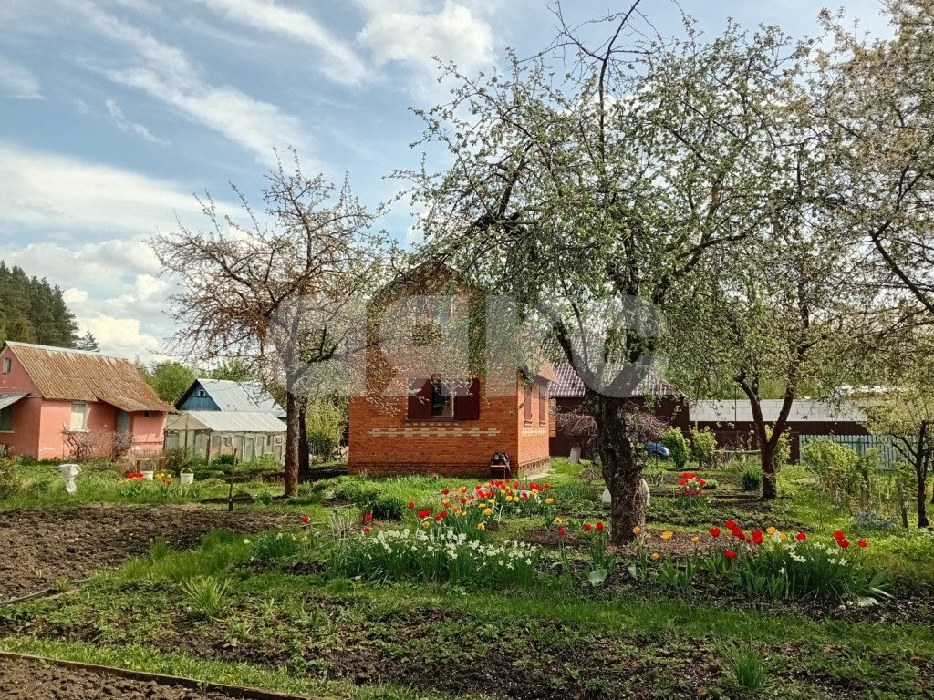 Фото №15: Дача 43 м² + 6.1 сот. - СНТ Восход, 206