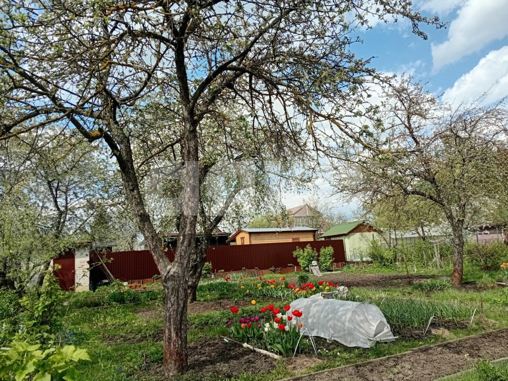 Фото №14: Дача 43 м² + 6.1 сот. - СНТ Восход, 206