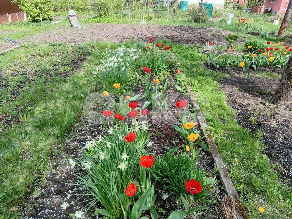 Фото №11: Дача 43 м² + 6.1 сот. - СНТ Восход, 206