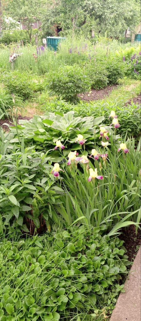 Фото №17: Дача 43 м² + 6.1 сот. - СНТ Восход, 206