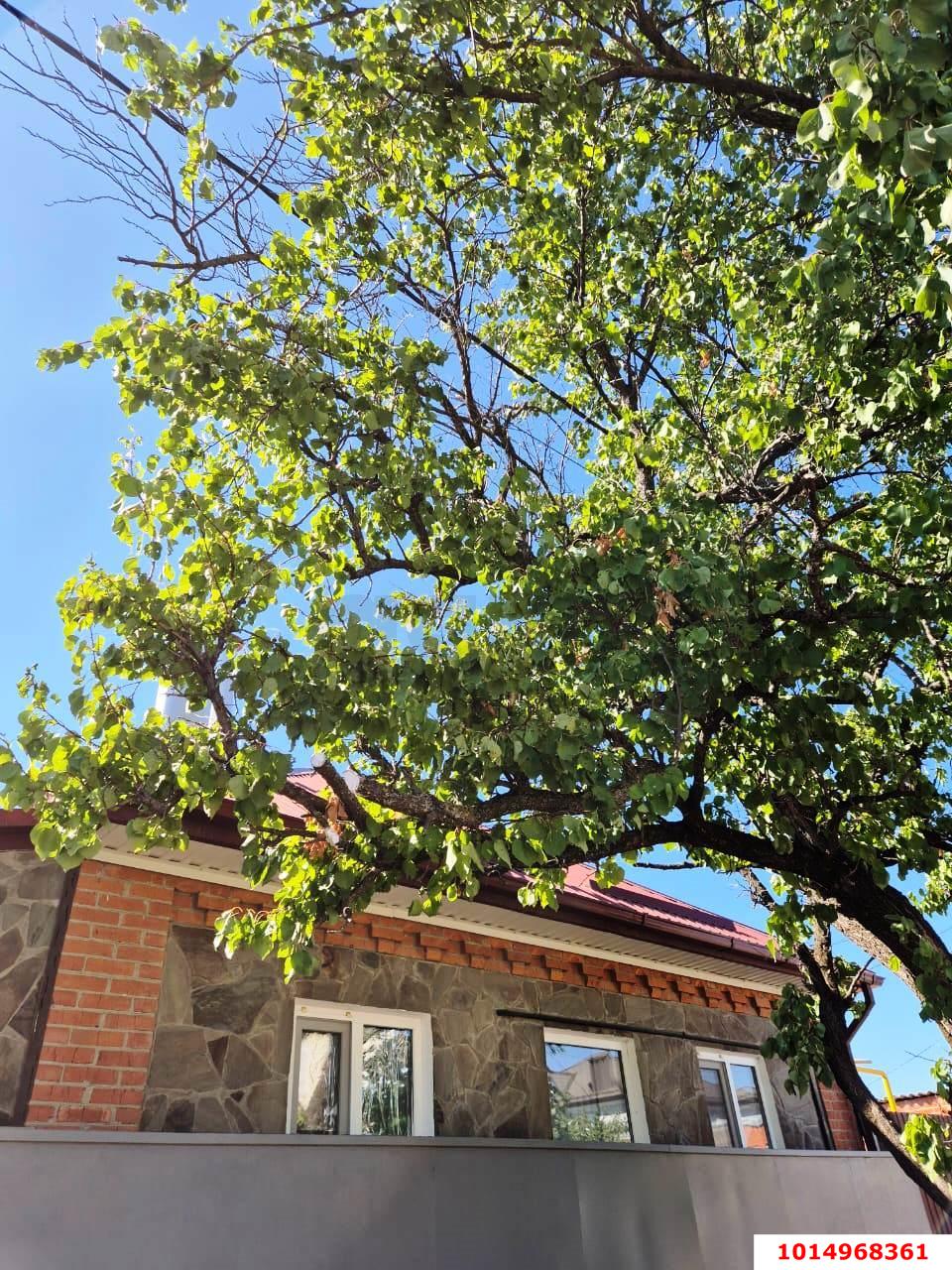 Фото №15: Дом 42 м² + 1 сот. - Краснодар, Дубинка, пр-д 1-й  Шевченко, 25